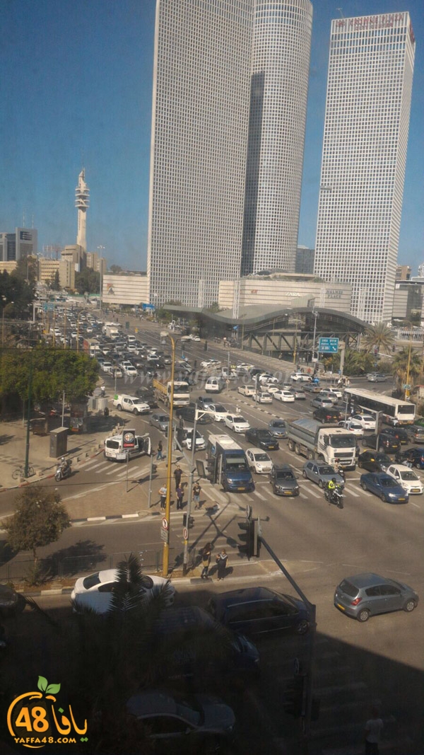 telavivva sk (4).jpg